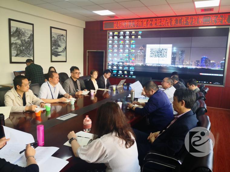 旭坤会计师参加昆明医科大学所属企业体制改革工作01+.jpg