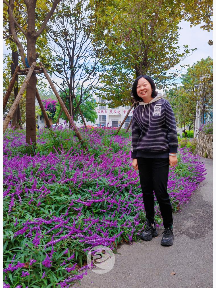 260号杨燕琼 代账部.jpg